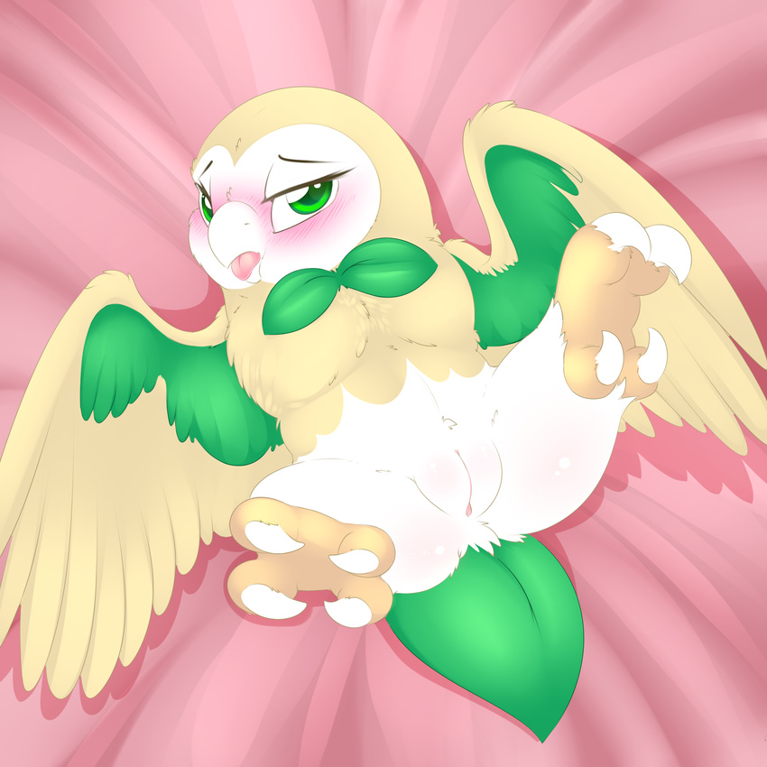 2016 avian blush camychan feathered_wings feathers female feral green_eyes hi_res looking_at_viewer lying nintendo on_back pok&eacute;mon pussy rowlet solo talons video_games wings