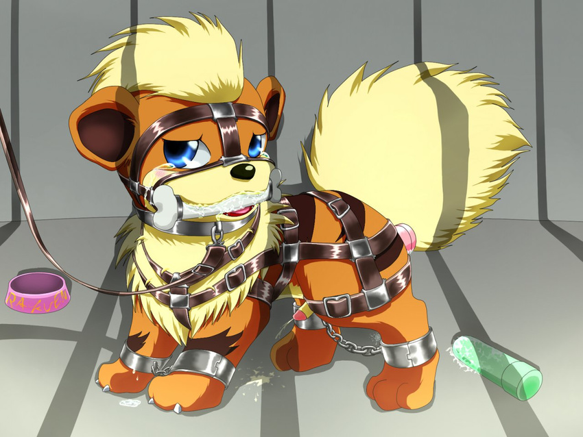 growlithe nintendo pokemon tagme