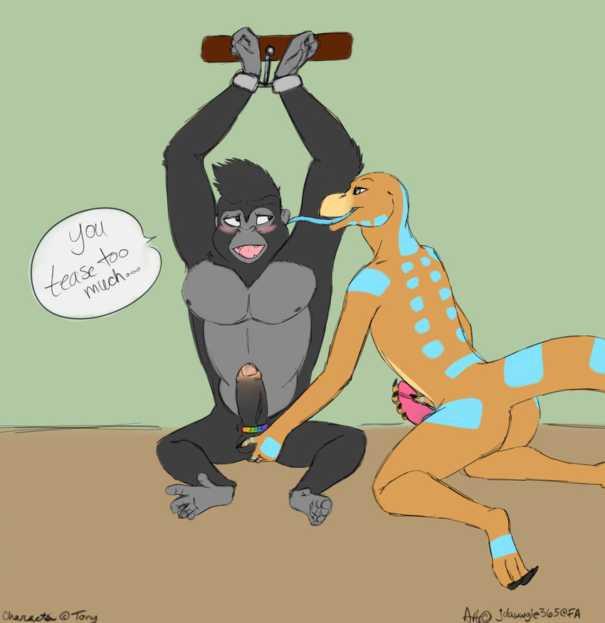 anal ape bdsm bondage bound cuffs_(disambiguation) ethan ethan_the_lizard fingering gorilla johnny johnny_(sing) licking lizard love male male/male mammal penis primate reptile scalie sex_toy teasing tongue tongue_out toy uncut vibrator yummy