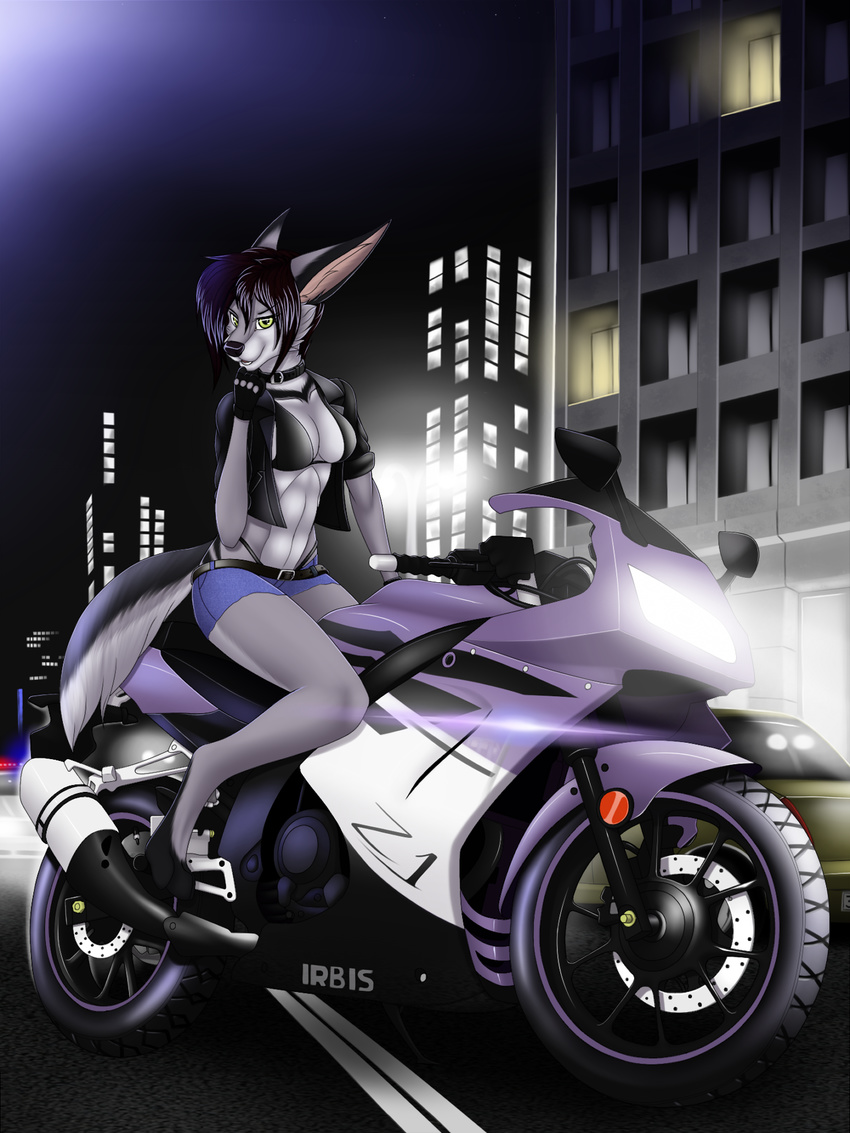 anthro barefoot bra breasts canine city clothed clothing detailed_background digitigrade hair mammal midriff navel night purple_hair smile tales_foxdale underwear yellow_eyes