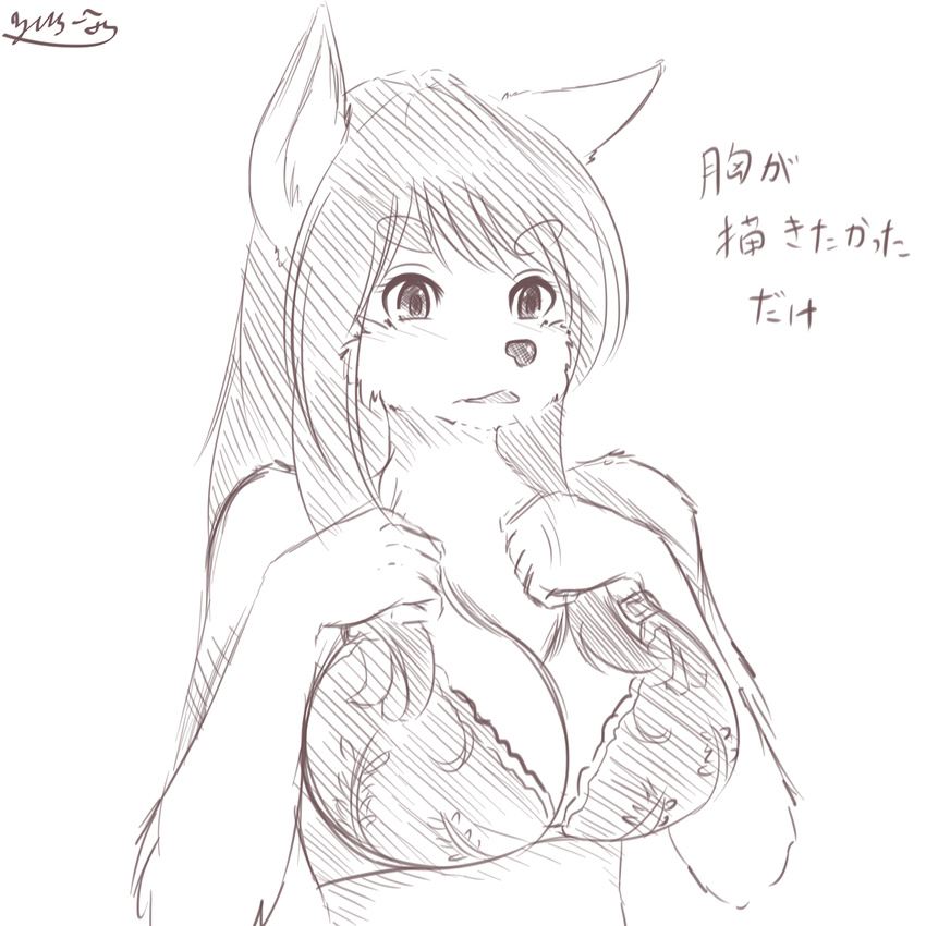 2014 anthro big_breasts bra breasts canine chest_tuft clothing dog female fur hair hi_res japanese_text kemono mammal monochrome simple_background solo text tuft underwear white_background yus-ts