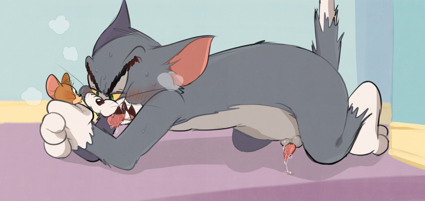 ambiguous_gender animal_genitalia animal_penis anthro atori balls blush cat cum drooling duo erection feline fur half-closed_eyes jerry_(tom_&amp;_jerry) male mammal mouse open_mouth penis precum rodent saliva sex sweat tom_(tom_&amp;_jerry) tom_and_jerry tongue tongue_out