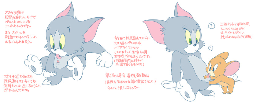 animal_genitalia animal_penis anthro atori balls cat cub duo erection feline feline_penis fur interspecies japanese_text jerry_(tom_&amp;_jerry) male male/male mammal mouse nude oral penis rodent size_difference text tom_(tom_&amp;_jerry) tom_and_jerry translation_request young
