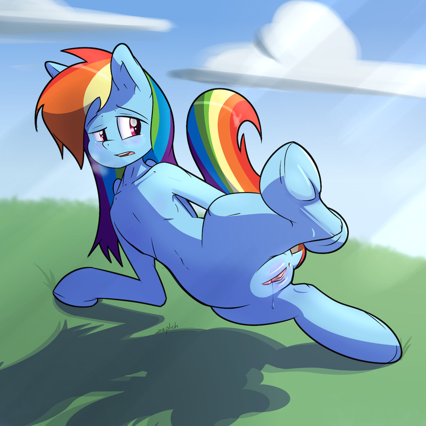 anus equine female friendship_is_magic hooves mammal my_little_pony pegasus presenting pussy rainbow_dash_(mlp) simple_background solo wings zeplich