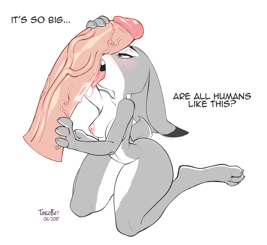 anthro blush breasts claws dipstick_ears disembodied_penis disney duo english_text erection faceless_male female fur human human_on_anthro humanoid_penis interspecies judy_hopps lagomorph licking male mammal nipples nude oral penis penis_lick purple_eyes rabbit sex tangobat text toe_claws tongue tongue_out zootopia