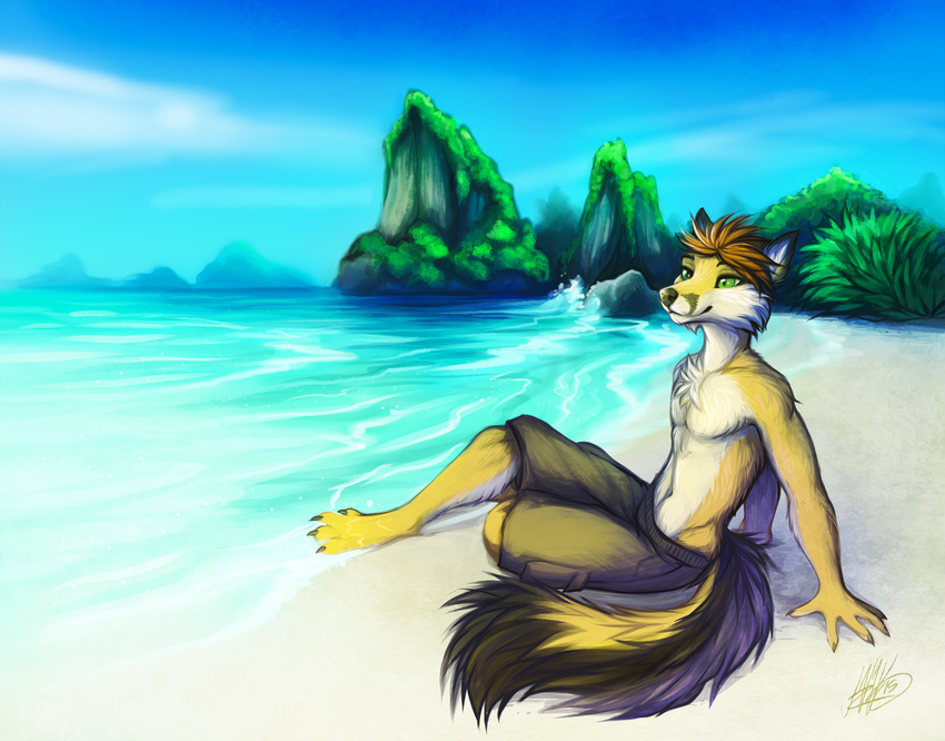 2015 anthro barefoot brown_hair canine clothed clothing day detailed_background digitigrade fox green_eyes hair mammal neotheta outside topless water