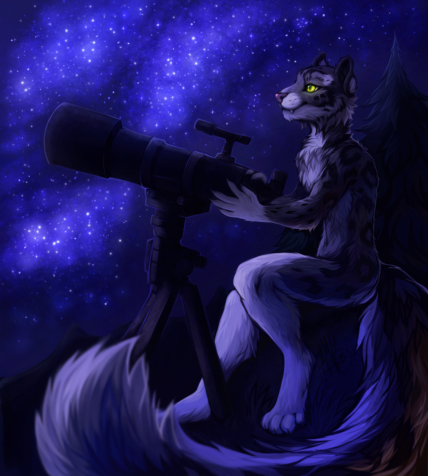 2015 4_toes 5_fingers anthro digitigrade feline fur grass grey_fur leopard mammal neotheta night nude outside sitting sky smile spots spotted_fur star starry_sky toes yellow_eyes