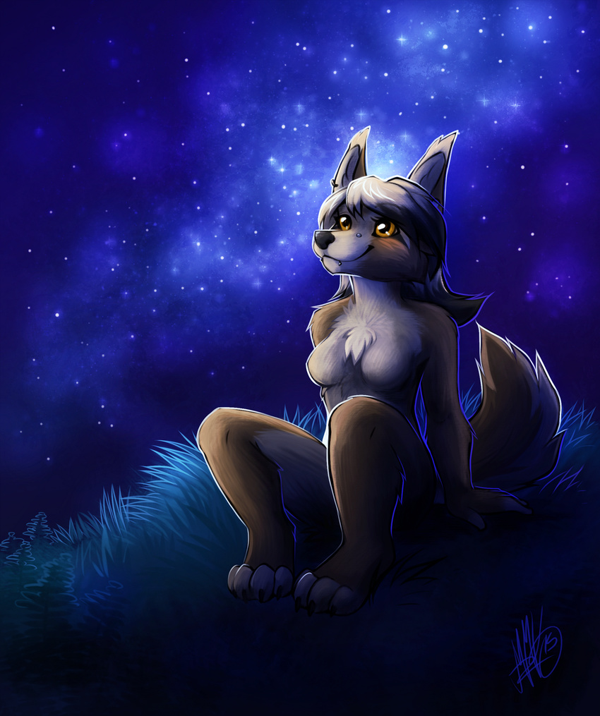 2015 4_toes anthro black_nose breasts canine featureless_breasts female fox grass grey_hair hair mammal neotheta nude sitting sky solo star starry_sky toes yellow_eyes