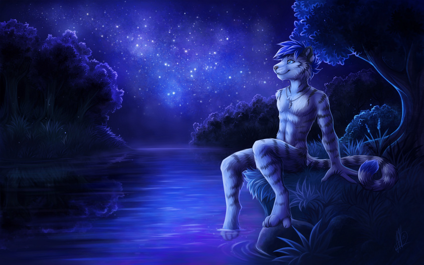 16:10 2015 anthro barefoot biped blue_eyes blue_hair detailed_background digitigrade feet felid hair hi_res male mammal neotheta night nude outside pantherine sitting sky smile solo star starry_sky tiger water widescreen