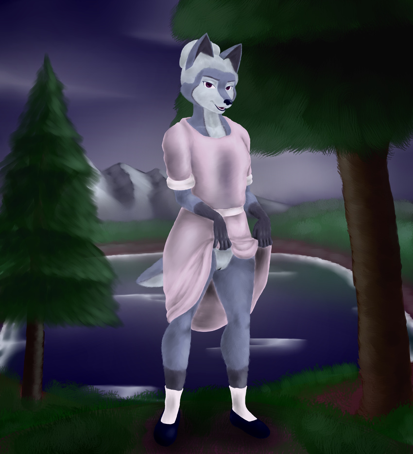 2017 anthro black_nose blue_fur canine clothed clothing clothing_lift digital_media_(artwork) female flashing fur gloves_(marking) hair hi_res krysical legwear looking_at_viewer mammal markings multicolored_fur open_mouth purple_eyes pussy smile socks solo teeth