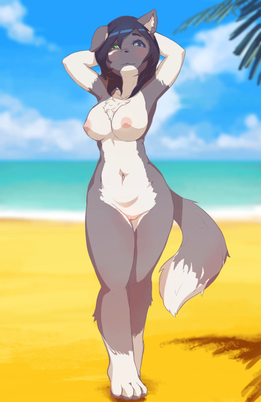 2014 absurd_res anthro beach black_hair black_nose blue_sky blush border_collie breasts canine chest_tuft collie digital_media_(artwork) dipstick_tail dog female fruitbloodmilkshake gloves_(marking) hair hands_behind_head heterochromia hi_res looking_at_viewer mammal markings multicolored_hair multicolored_tail navel nipples nude pussy sand seaside shy sky socks_(marking) solo sonya standing tuft two_tone_hair voluptuous