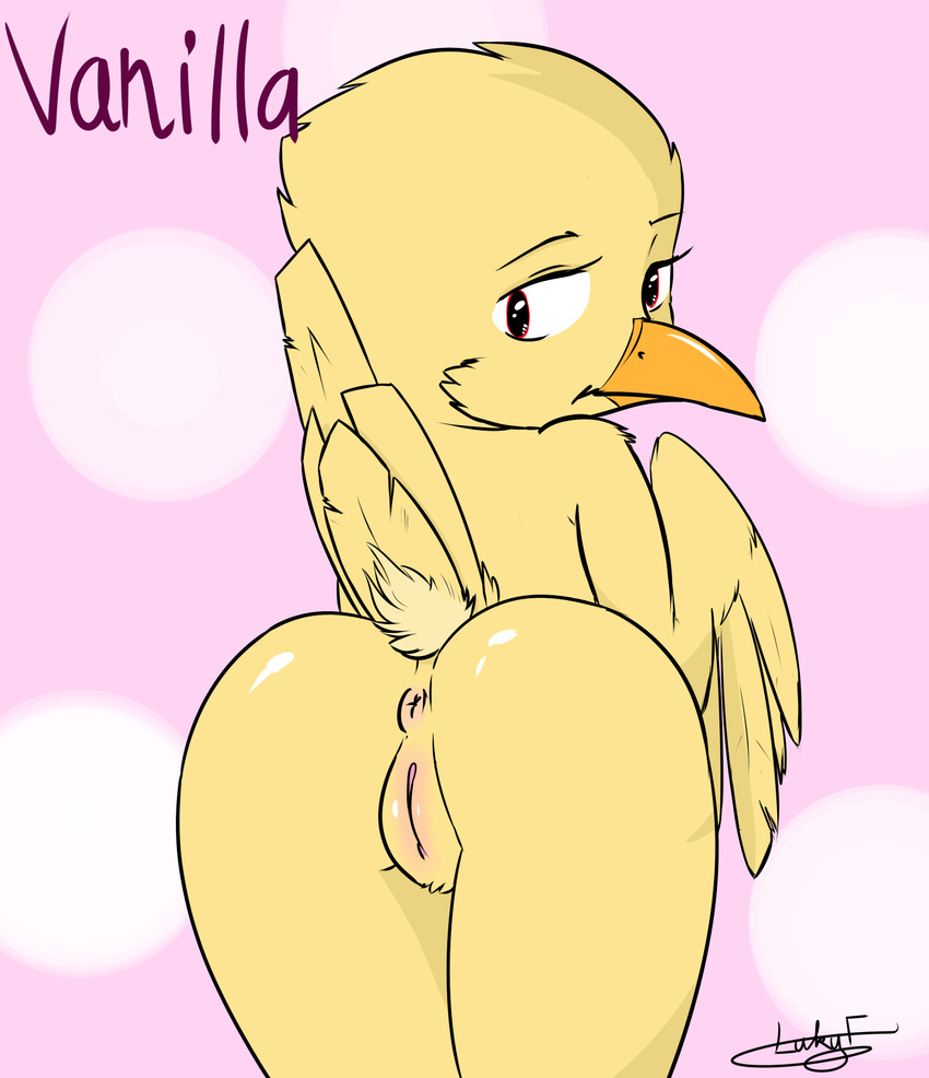 2017 anthro anus avian beak bird butt canary feathered_wings feathers female lf looking_at_viewer nude pink_background pussy simple_background solo solo_focus tail_feathers vanilla_(canary) wings