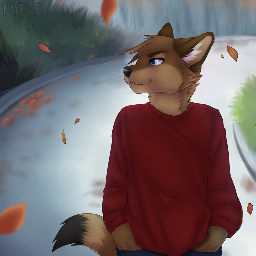 2015 anthro autumn blue_eyes brown_fur canine clothed clothing coyote falling_leaves fur grass hands_in_pockets looking_away male mammal nayel-ie outside smile solo standing sweater