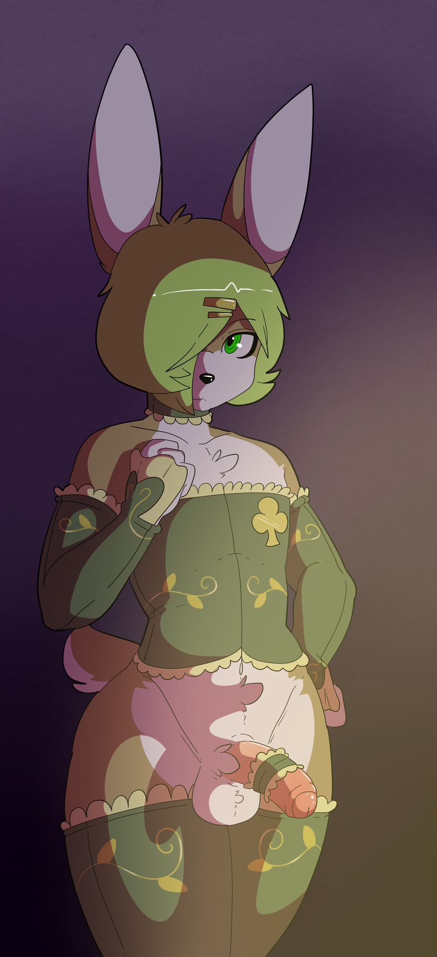 2015 absurd_res anthro arm_warmers armwear balls black_nose bottomless brown_fur chest_tuft clothed clothing collar corset digital_media_(artwork) erection frilly front_view fur garter girly gradient_background green_eyes green_hair hair hair_over_eye hairclip half-erect hand_on_hip hi_res humanoid_penis lagomorph legwear lingerie looking_at_viewer lotte_(munks) male mammal multicolored_fur munks_(artist) partially_clothed partially_retracted_foreskin penis rabbit simple_background solo thick_thighs thigh_highs tuft two_tone_fur uncut white_fur wide_hips