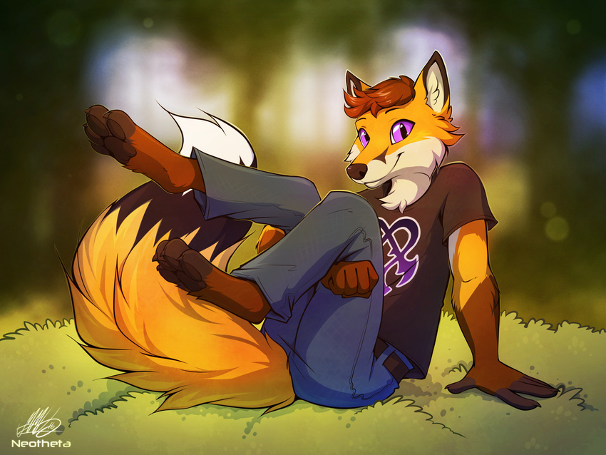 4_toes 5_fingers anthro barefoot blurred_background brown_hair canine clothed clothing digitigrade fox fur hair male mammal neotheta orange_fur purple_eyes sitting smile solo toes
