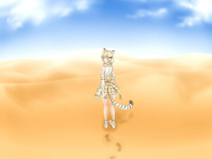 animal_ears blonde_hair brown_hair cat_ears cat_tail desert elbow_gloves eyebrows_visible_through_hair footprints gloves highres kemono_friends looking_at_viewer losmal_indicus multicolored_hair sand sand_cat_(kemono_friends) short_hair sleeveless solo tail white_gloves white_hair yellow_eyes