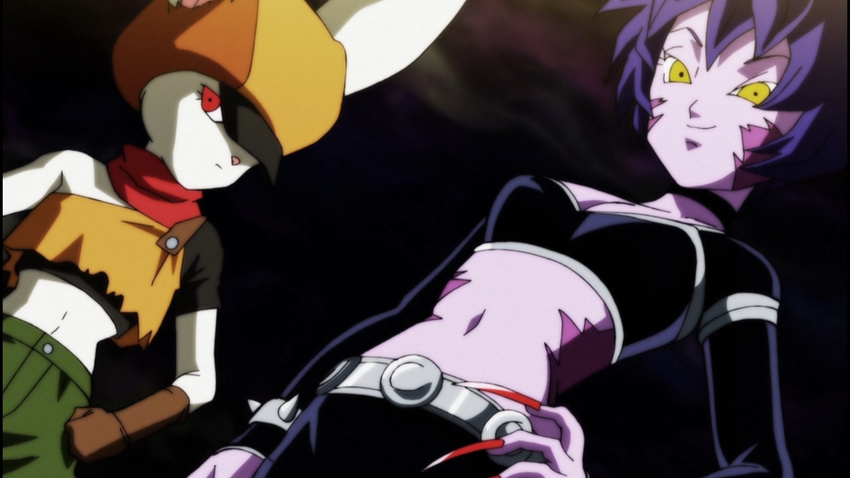 2girls animal_ears breasts cat claws cleavage crop_top dragon_ball dragon_ball_super female flat_chest full_body furry gloves hat hop looking_at_viewer multiple_girls purple_hair purple_skin rabbit red_eyes sorrel yellow_eyes