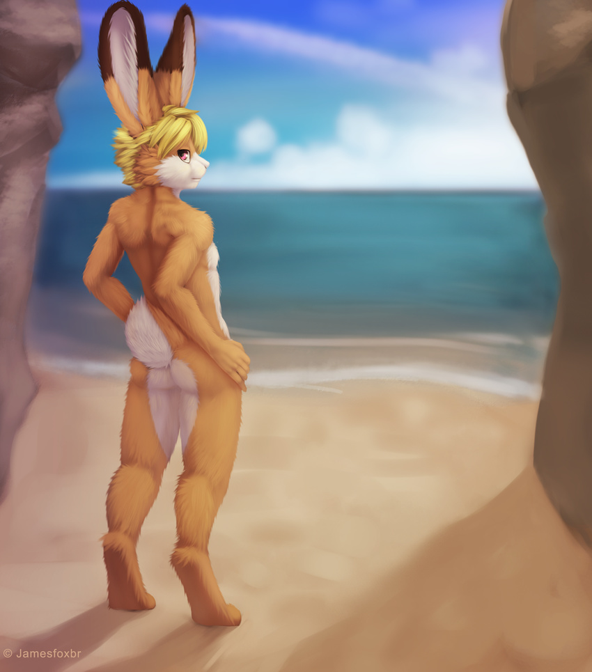 2017 anthro beach butt digital_media_(artwork) fur hair jamesfoxbr lagomorph lineless lineless_art long_ears looking_at_viewer male mammal nude outside rabbit sand sea seaside sky solo standing water