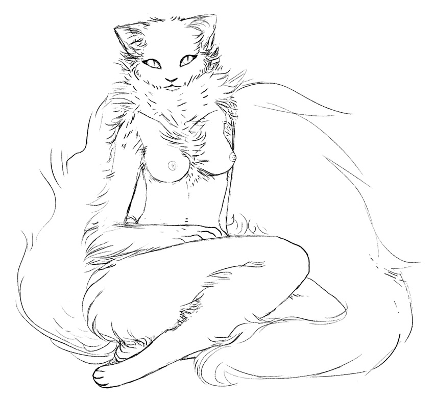 2016 4_fingers 4_toes anthro arm_tuft big_breasts biped black_and_white black_nose breasts cat chest_tuft crossed_legs digital_drawing_(artwork) digital_media_(artwork) digitigrade eyelashes feline female fluffy fluffy_tail front_view full-length_portrait fur hand_on_leg hand_on_thigh inner_ear_fluff leg_tuft legs_together line_art long_tail looking_at_viewer looking_up mammal monochrome moondevourer neck_tuft nipples nude paws portrait ragamuffin_cat simple_background sitting slit_pupils solo thick_tail toes tuft white_background