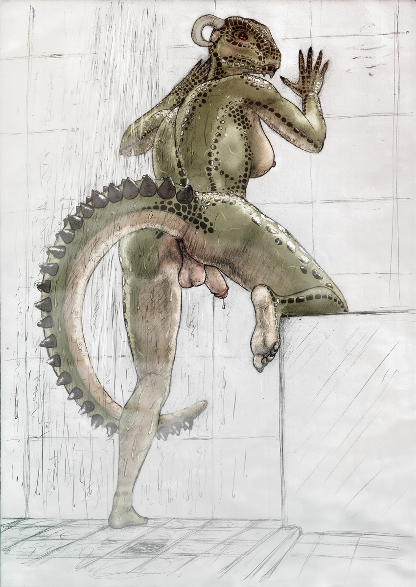 2017 5_toes anus argonian balls big_breasts big_butt breasts butt dickgirl digital_media_(artwork) feet humanoid_feet humanoid_penis intersex looking_at_viewer looking_back mixed_media nude partially_retracted_foreskin pencil_(artwork) penis plantigrade presenting presenting_hindquarters scalie sensiive shower smile soles solo the_elder_scrolls toes traditional_media_(artwork) uncut video_games water wet