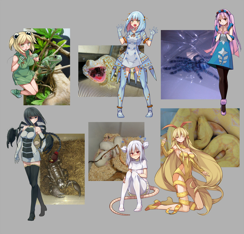 6girls black_eyes black_hair blonde_hair blue_hair blush cleavage frostcyco high_heels looking_at_viewer orange_eyes personification pink_hair snake_girl white_hair yellow_eyes