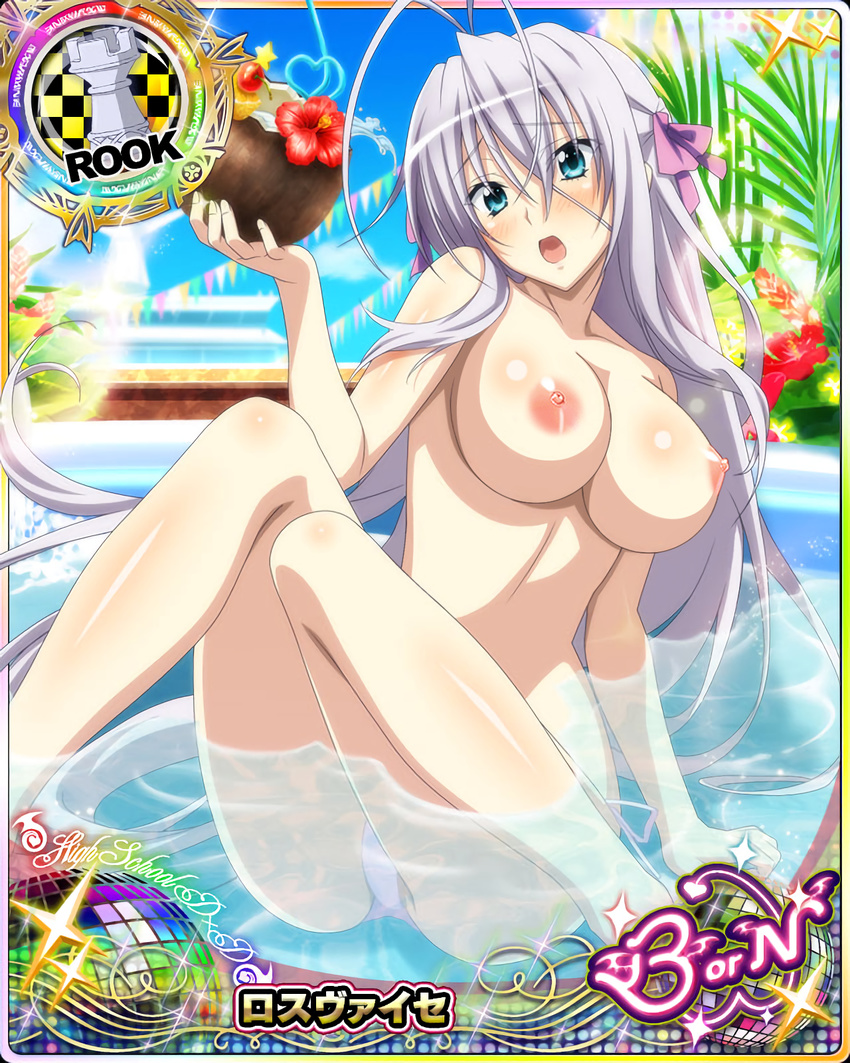 breasts card_(medium) high_school_dxd large_breasts photoshop rossweisse topless