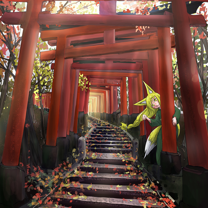 :d absurdres animal_ears autumn_leaves blonde_hair commentary_request doitsuken forest fox_ears fox_girl fox_tail green_kimono head_tilt hiding highres japanese_clothes kimono leaf leaning long_hair looking_at_viewer low_tied_hair multiple_torii nature open_mouth original smile solo stairs tail tongue tongue_out torii yellow_eyes
