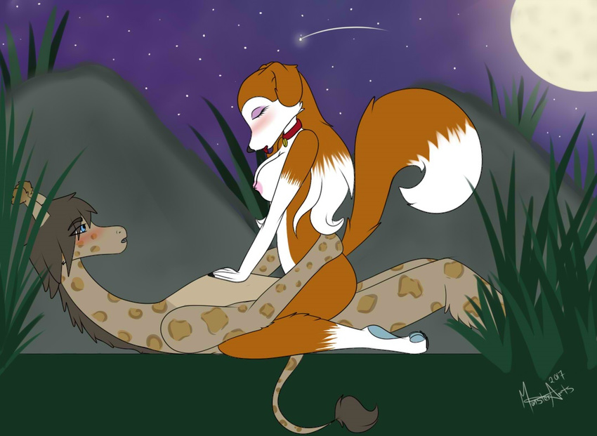 2017 blush breasts brown_fur canine collar colleen cowgirl_position dog erect_nipples eyes_closed female female_on_top full_moon fur giraffe gorgeouslittlemonster_(artist) grass hair half-closed_eyes hand_on_chest hand_on_waist long_hair lying male male/female mammal moon multicolored_hair night night_sky nipples nude on_back on_top open_mouth outside raised_tail road_rovers sex shooting_star tongue tongue_out two_tone_hair vaginal white_fur