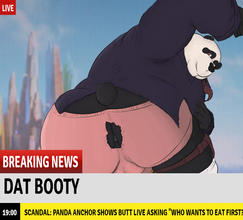 anthro anus bear bearlyjo big_butt bulge butt clothing disney english_text mammal news panda rip shirt smile text underwear zootopia