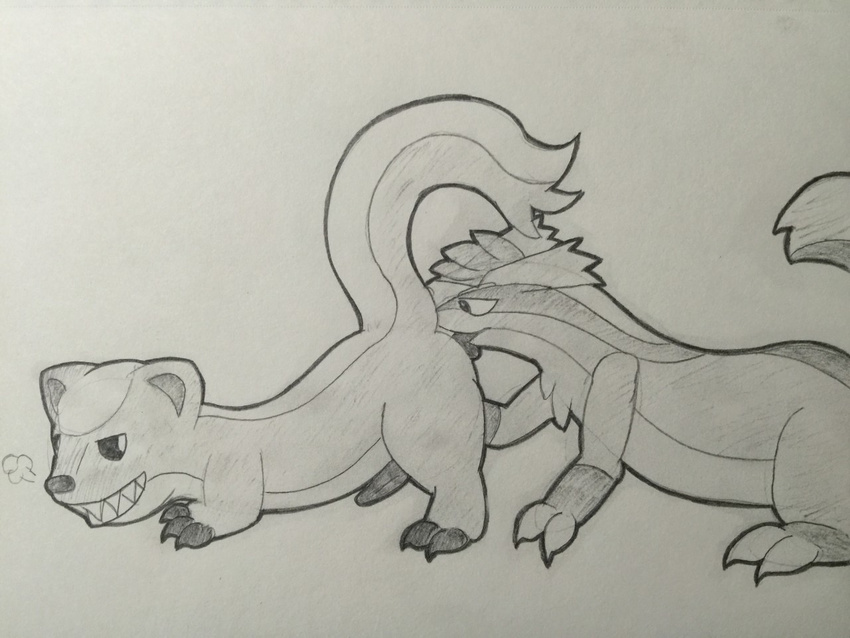 anal butt claws duo erection feral feral_on_feral graedius_(artist) graedius_(linoone) linoone male male/male monochrome nintendo oral pencil_(artwork) penis pok&eacute;mon rimming sex tapering_penis traditional_media_(artwork) video_games yungoos