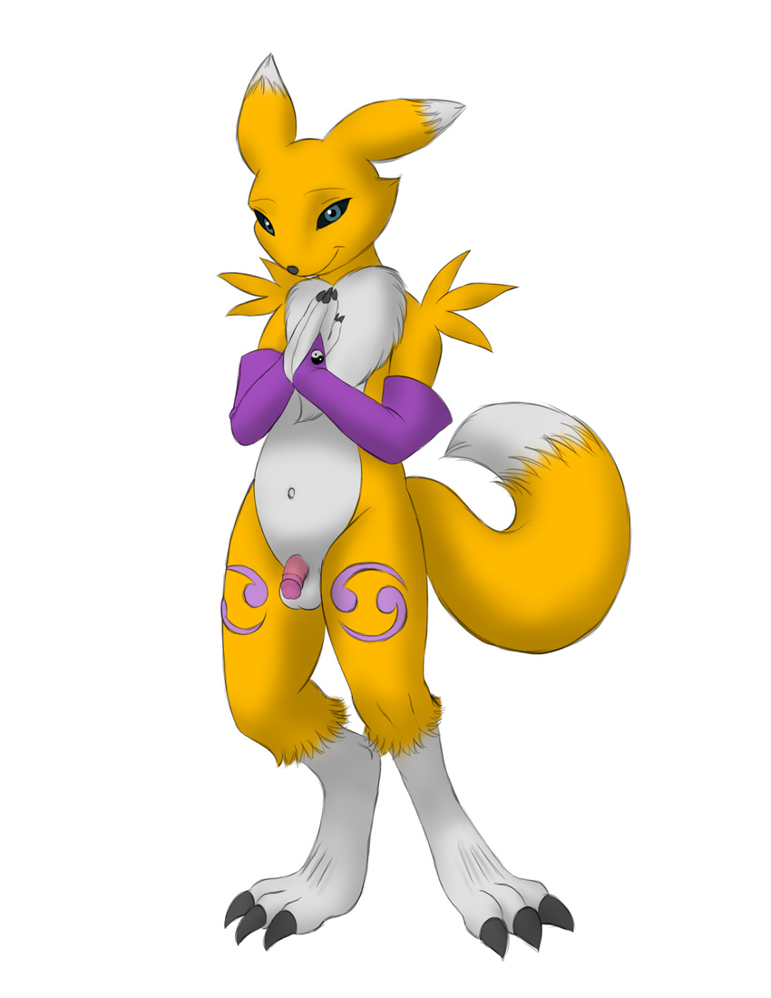 anthro balls digimon fur male nude penis renamon vladimir