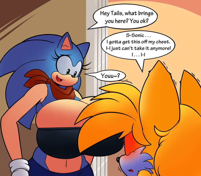 big_breasts blush breasts canine denizen1414 dreamcastzx1 fem_sonic fem_tails female fox hedgehog huge_breasts mammal sonic_(series) sonic_the_hedgehog