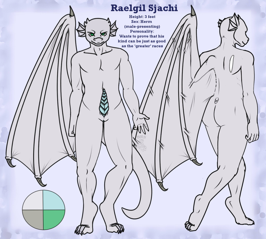 blueroses butt claws clitoris draconic dragon herm intersex kobold male mherm model_sheet muscular penis presenting pussy raelgil_sjachi scale sheet_(disambiguation) short slit small_(disambiguation) version warrior wings