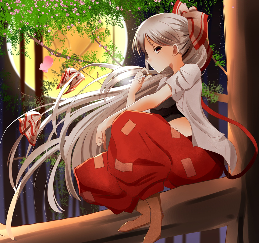 baggy_pants blush bow breasts cherry_blossoms cigarette commentary_request flower from_side fujiwara_no_mokou full_body full_moon hair_bow highres in_tree indo_(mdtanaka2007) looking_at_viewer looking_to_the_side medium_breasts moon open_clothes open_shirt pants petals ponytail profile red_eyes red_pants shirt short_sleeves silver_hair sitting sitting_in_tree smoking solo sports_bra touhou tree white_shirt