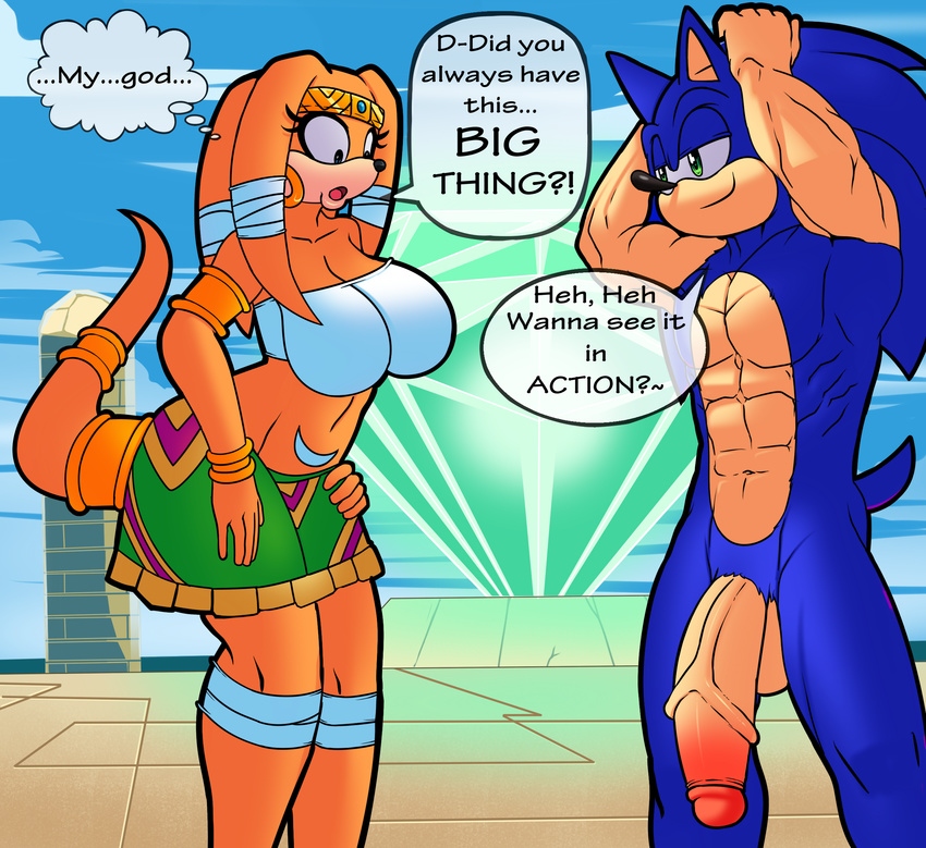 big_breasts big_penis breasts canastus dreamcastzx1 echidna female hedgehog huge_breasts huge_penis male mammal monotreme muscular penis sonic_(series) sonic_the_hedgehog tikal_the_echidna