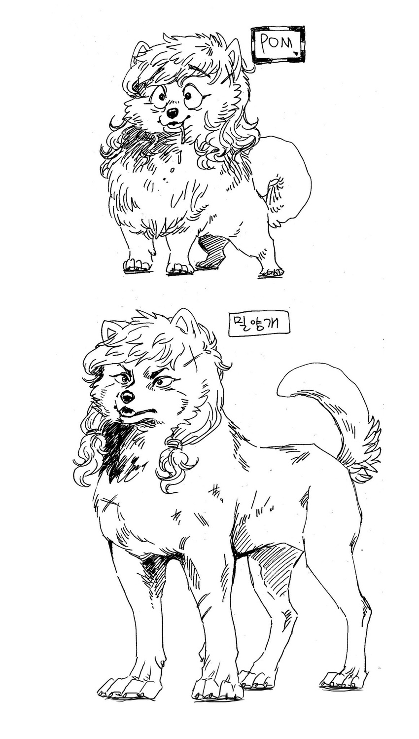 2017 alternate_species before_and_after canine cheek_tuft curled_tail digitigrade dog drooling english_text eyelashes female feral feralized fluffy fluffy_tail front_view hair hybrid jindo kemono kishu_inu korean_text long_tail mammal multiple_poses nude open_mouth open_smile pawpads paws pencil_(artwork) pigtails pomeranian pose quadruped raised_tail ryonggay saliva scar simple_background smile solo standing text traditional_media_(artwork) translation_request tuft white_background yong-sil_(ryonggay)