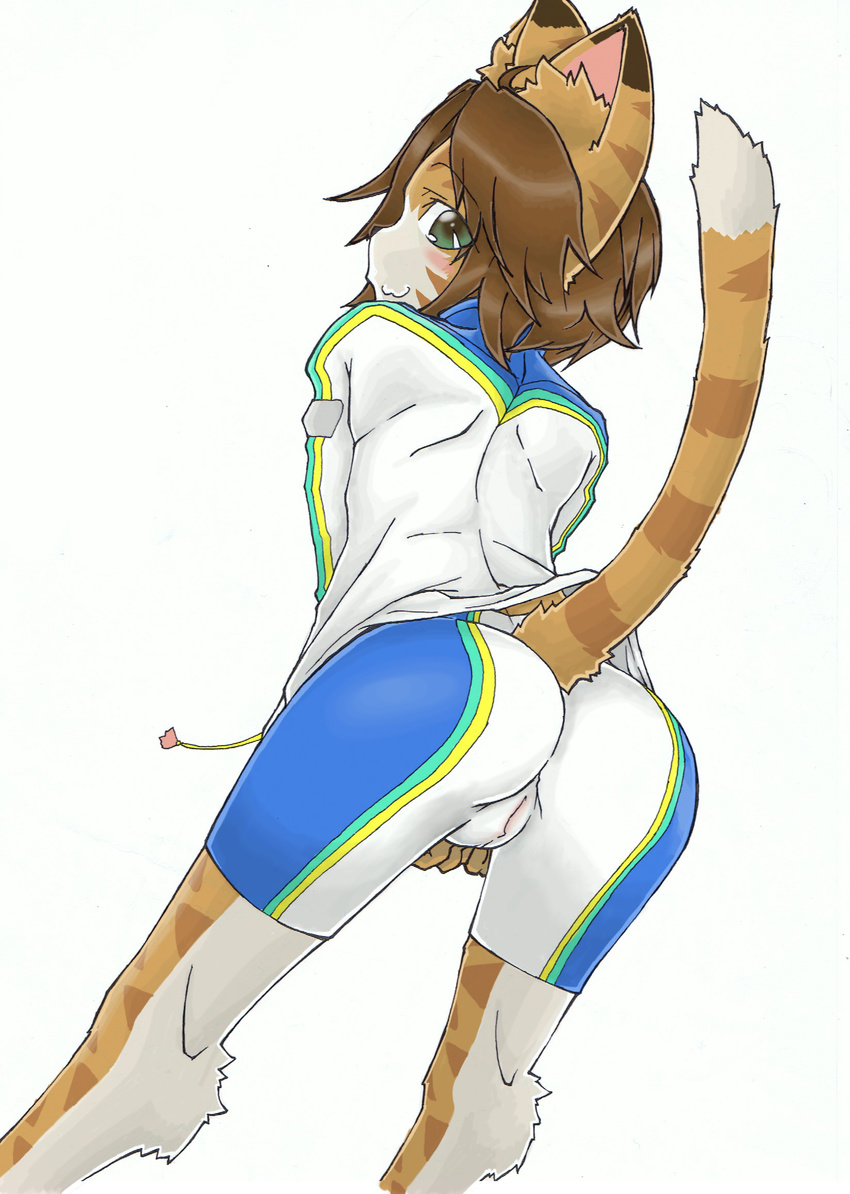 1girl animal_ears artist_request ass bike_shorts bloody_roar blush brown_hair cameltoe cat_ears cat_girl cat_tail from_behind furry green_hair leaning leaning_forward looking_at_viewer looking_back nonomura_uriko short_hair smile solo tail