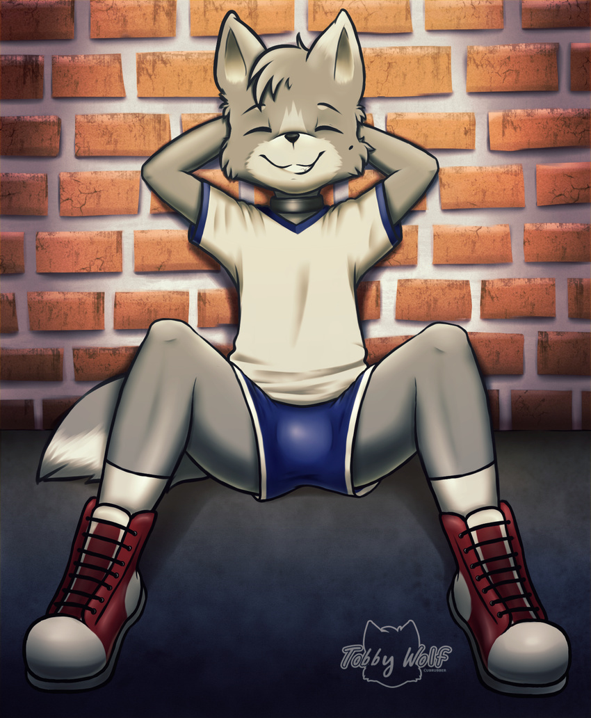 bulge canine clothing cub cute footwear male mammal shoes short sneakers tobby tobby_wolf(cubrubber) uniform wolf young