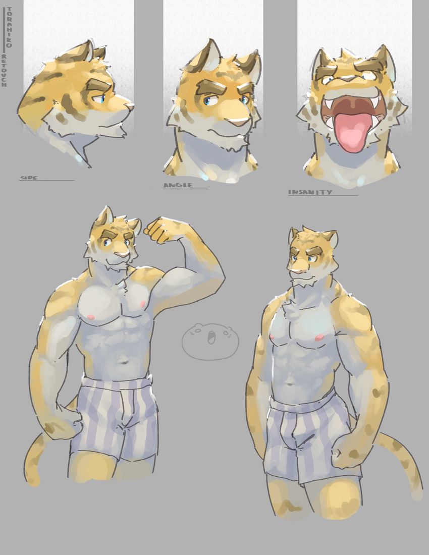 2015 5_fingers abs absurd_res anthro biceps big_muscles blue_eyes blush boxers_(clothing) chest_tuft clothed clothing fangs feline flexing front_view fur hi_res loverslessthanthree male mammal morenatsu muscular muscular_male navel nipples open_mouth pecs sharp_teeth smile solo standing stripes teeth tiger tongue tongue_out topless torahiko_(morenatsu) tuft underwear white_fur yellow_fur