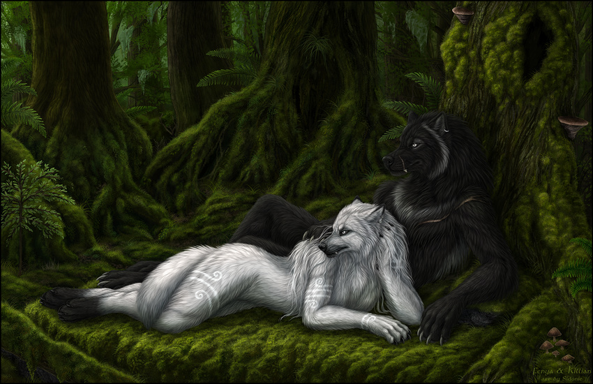 5_fingers amazing_background anthro black_fur black_nose canine day detailed_background digitigrade duo female forest fur lying male mammal moss nude outside sidonie tree white_fur wolf