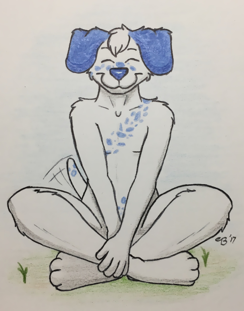 4_toes 5_fingers blue_ears blue_nose blue_spots canine crossed_legs dalmatian dog ethan_bailey_(artist) grass happy male mammal sea_salt sitting smile spots tailwag toes