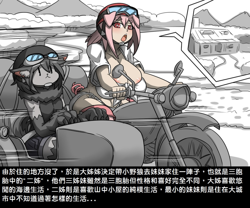 animal_humanoid big_breasts breasts canine chinese_text clothing dr.bug female humanoid mammal motorcycle panties pig_humanoid porcine simple_background text translation_request underwear vehicle white_background wolf