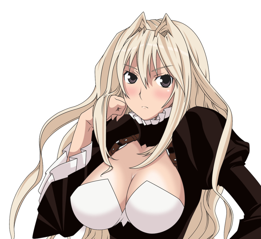 blonde_hair blue_eyes blush breasts cleavage face large_breasts long_hair sekirei smile_(rz) solo tsukiumi