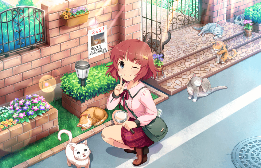 ;) anzai_miyako artist_request bag blue_eyes brick_wall brown_footwear cat center_frills collared_shirt day eyebrows eyebrows_visible_through_hair finger_to_cheek flower flower_pot from_behind gate grass hair_ornament hairclip idolmaster idolmaster_cinderella_girls idolmaster_cinderella_girls_starlight_stage index_finger_raised ironwork kneehighs lens_flare light_rays long_sleeves looking_back magnifying_glass manhole_cover messenger_bag messy_hair missing_poster neck_ribbon official_art one_eye_closed outdoors pink_legwear plant planter poster_(object) potted_plant red_hair ribbon road shirt shoes short_hair shoulder_bag smile solo squatting street sunbeam sunlight too_many too_many_cats wall