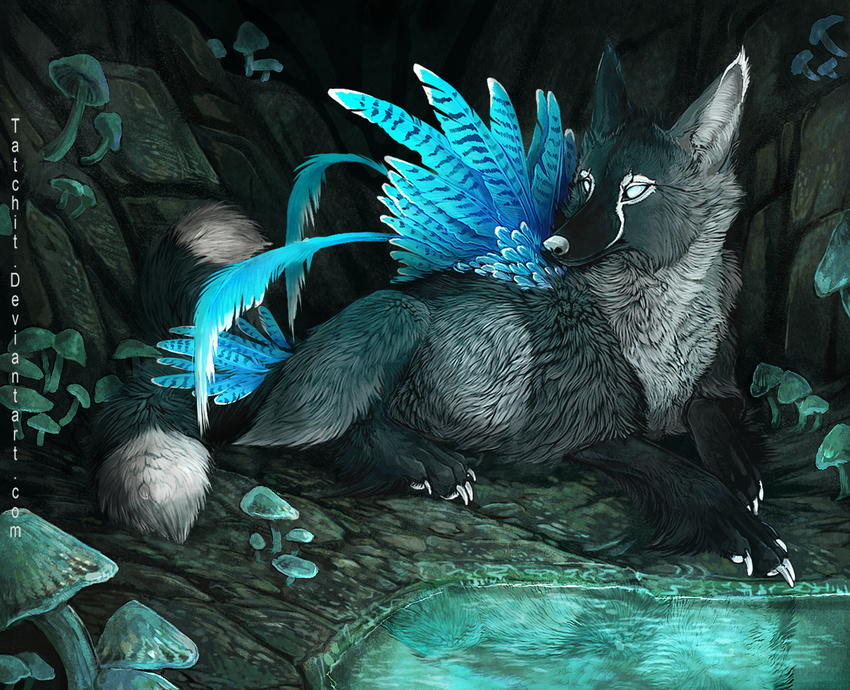 ambiguous_gender black_fur blue_feathers canine detailed_background feathers feral fur grey_fur hybrid mammal solo tatchit water white_eyes white_nose wolf