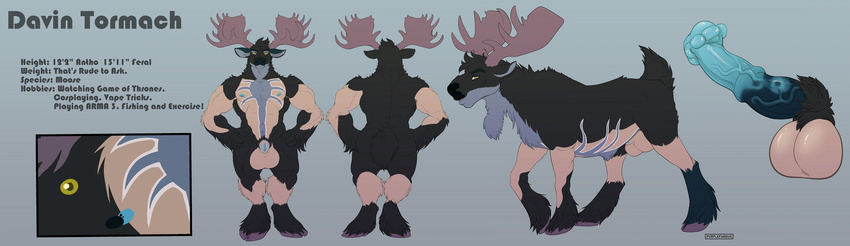 animal_genitalia animal_penis anthro antlers balls black_fur blue_fur blue_penis cervine davin_tormach disembodied_penis equine_penis erection feral front_view fur horn male mammal model_sheet moose penis purplepardus rear_view sheath side_view tan_fur yellow_eyes