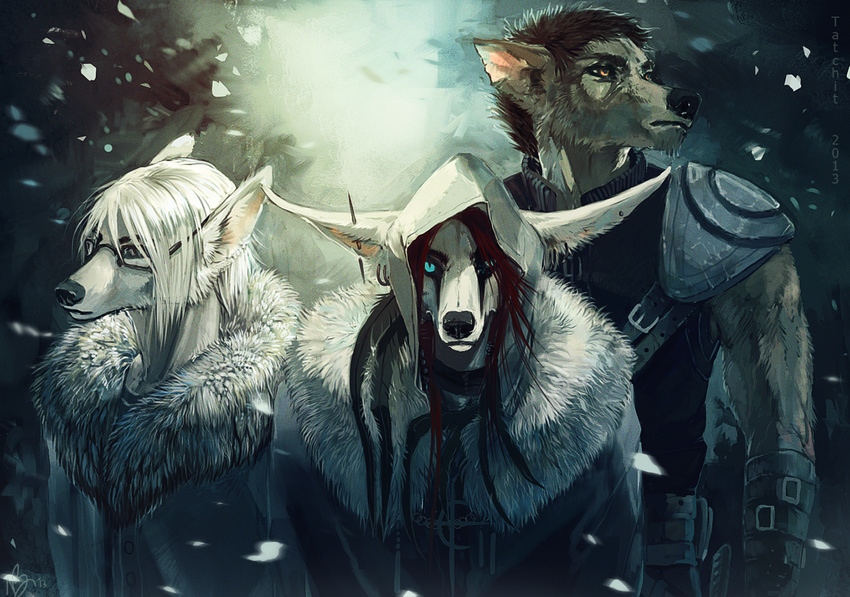 anthro black_hair black_nose blue_eyes brown_eyes brown_hair canine clothed clothing ear_piercing fox fur grey_fur group hair looking_at_viewer male mammal piercing snow tatchit white_fur wolf