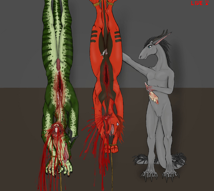 &gt;:) animal_genitalia blood blood_spray blue_eyes bucket cum cum_on_chest cum_on_self cum_on_stomach cut_throat decapitation digital_media_(artwork) disembowelment dragon female female/female fingering fist fur furred_dragon gore green_eyes green_skin grey_fur guts hair hanged hi_res horn imminent_death intestines knife lizard male melee_weapon multicolored_skin navel nude open_mouth penis plaguelizard pussy pussy_juice recording red_hair reptile restrained rope saliva scalie scared sheath simple_background slit_throat smile snuff tongue tongue_out towel two_tone_skin vaginal vaginal_fingering weapon