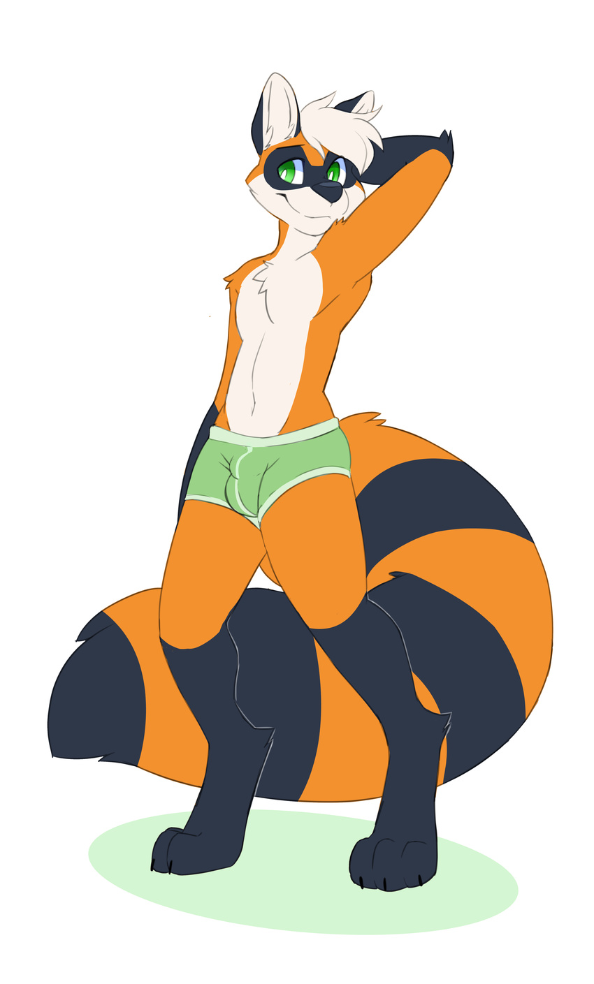 2017 absurd_res anthro black_fur bulge canine clothing digital_media_(artwork) dog fur green_eyes hi_res hybrid looking_at_viewer male mammal multicolored_fur orange_fur permavermin pinup pose raccoon simple_background smile solo underwear white_background white_fur