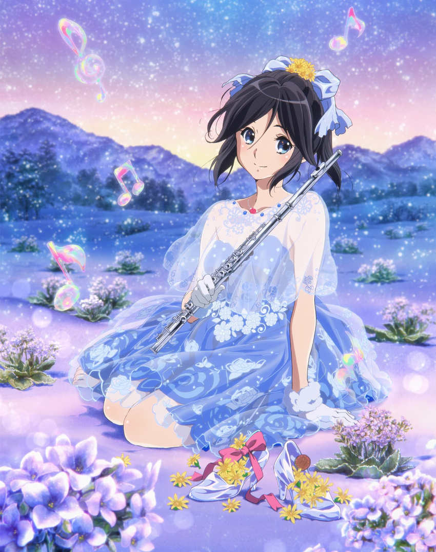 artist_request barefoot black_hair blue_dress blue_eyes blurry blush capelet closed_mouth cloud depth_of_field dress eighth_note field flower flower_field flower_request flute fur-trimmed_gloves fur_trim glass_slipper gloves hair_flower hair_ornament hair_ribbon hair_strand hibike!_euphonium highres holding holding_instrument instrument kasaki_nozomi light_particles looking_at_viewer musical_note official_art on_ground outdoors plant ponytail ribbon see-through shoes_removed sitting sky smile solo star_(sky) starry_sky strapless strapless_dress treble_clef twilight wariza white_gloves